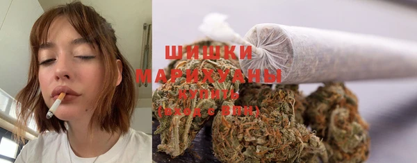 Альфа ПВП Щёлкино