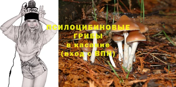 Альфа ПВП Щёлкино