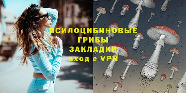 Альфа ПВП Щёлкино