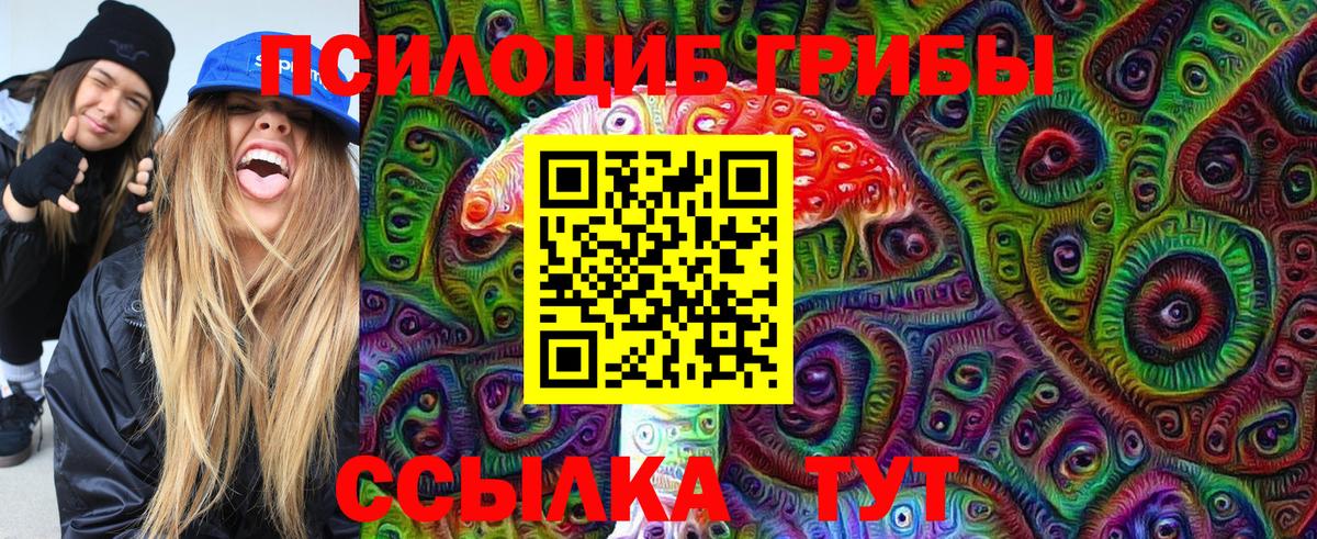 Галлюциногенные грибы Psilocybe Иркутск