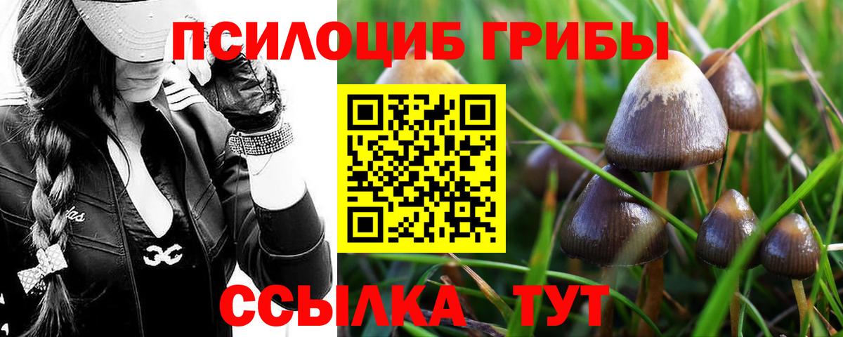 Галлюциногенные грибы Psilocybe  Галлюциногенные грибы GOLDEN TEACHER  Вход с VPN  Иркутск 
